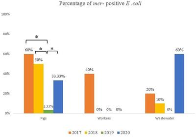 Longitudinal Monitoring Reveals Persistence of Colistin-Resistant Escherichia coli on a Pig Farm Following Cessation of Colistin Use